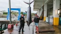 カジキ王 仁科克基・カジキングの世界を釣る