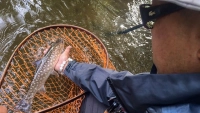 TROUT QUEST