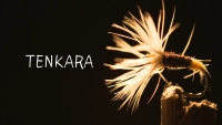 TENKARA