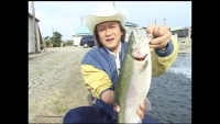 魚種格闘技戦！