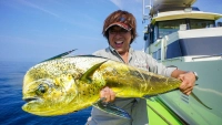 魚種格闘技戦！