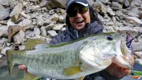 BIG BITE