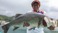 魚種格闘技戦！