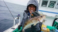 魚種格闘技戦！