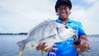 魚種格闘技戦！