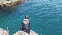伝心伝承