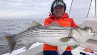 魚種格闘技戦！