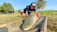 魚種格闘技戦！