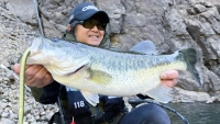 BIG BITE