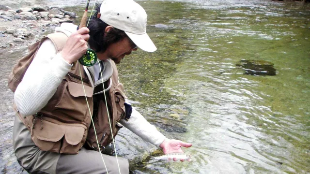 花鳥風月…そして魚 ～伊勢正三フライトリップ1～