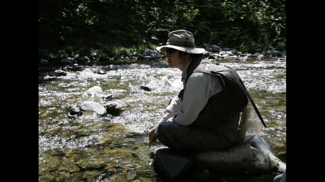 フライギャラリー