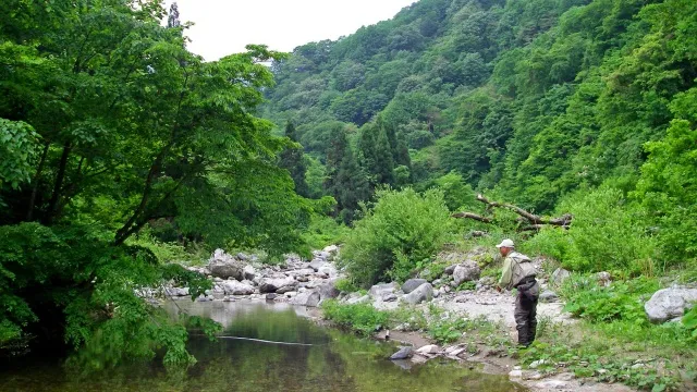 ハイパーエキスパート 中部山岳渓流 2008