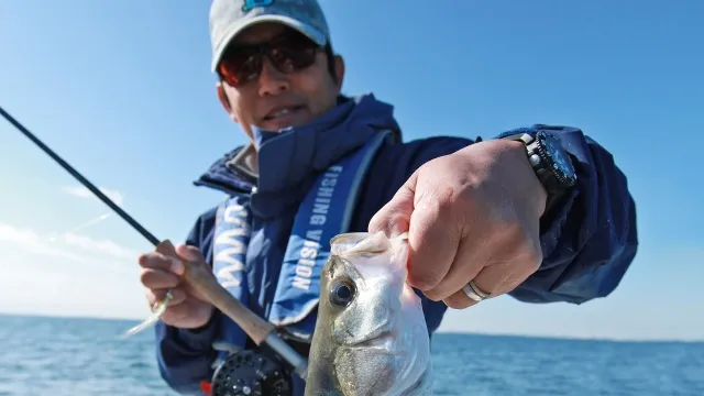 フライギャラリー Saltwater Flyfishing in Tokyo Bay Area