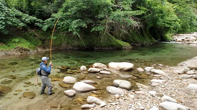 フライギャラリー FlyFisherの夏休み