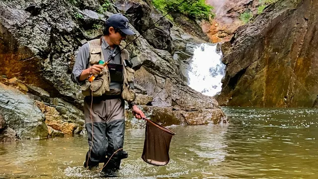 フライギャラリー HuntDown 初夏の渓歩き