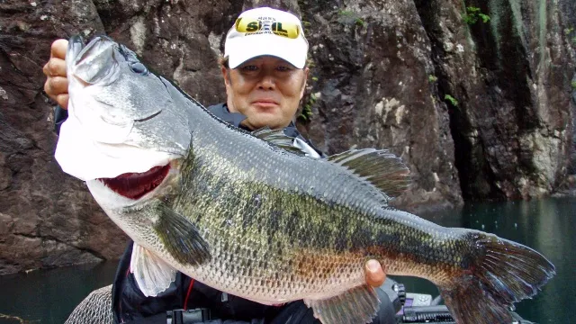 バスギャラリー サタン島田 日本記録への挑戦！聖地池原ダムでモンスターを捕獲せよ！