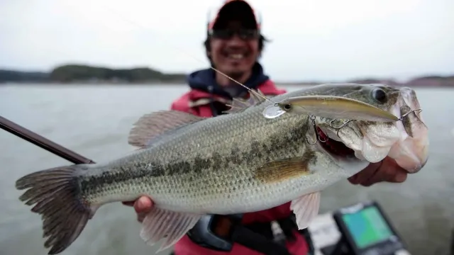 Osprey's EYE 5 千葉県高滝ダム