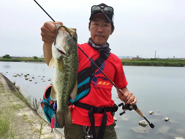バスギャラリー 徳島県 旧吉野川水系オカッパリ 釣りビジョン