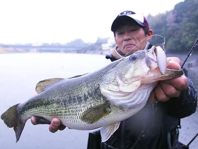 バスギャラリー Xデーは 千葉県高滝ダムの春爆 釣りビジョン
