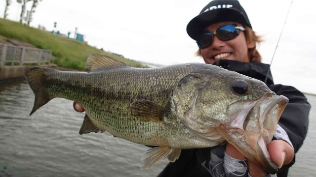 テッペンDASH！ 14 目指せテッペンFISH 嵐の霞ヶ浦水系攻略！