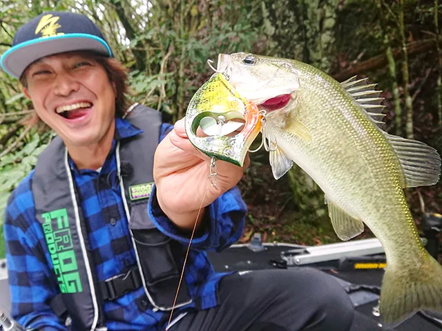 トップ道 50 紀伊半島ツインリザーバーズ・池原＆七色ダム