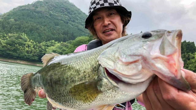 トップ道 54 愛媛トリエンナーレ