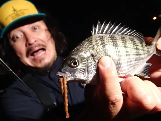 ぶらりバスの旅 TRIP13 怪魚攻略！？明石海峡釣りグルメ旅！