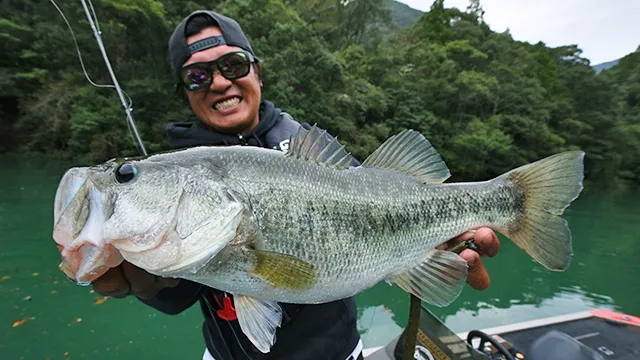 23 秋雨の池原ダム パワーゲームでロクマルを狙う