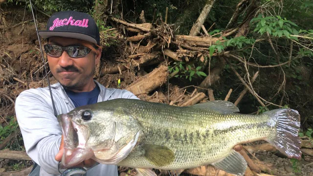 俺たちのバスフィッシングr 66 梅雨 夏 季節を感じてrを狙ってやるぜ 釣りビジョン