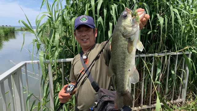 本気でオカッパリ 102 れんこんで釣るっ！