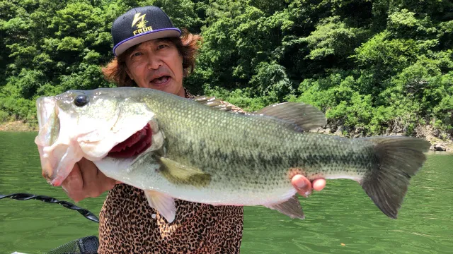 トップ道 57 山口トッパー天国・阿武川ダム湖