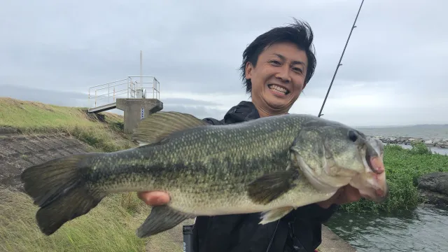 バスギャラリー AK赤松健 初夏の霞ケ浦水系を徹底攻略