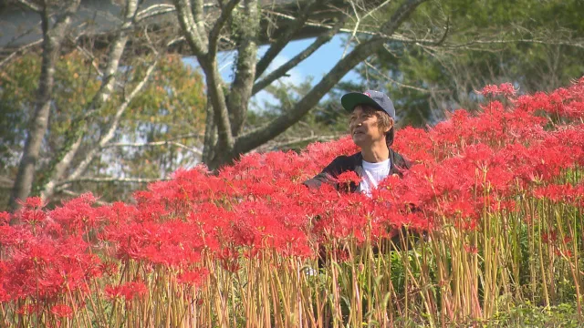 60 彼岸花咲く弥栄湖にロクマルの夢を追って