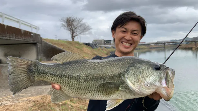 バスギャラリー 赤松健「進化」