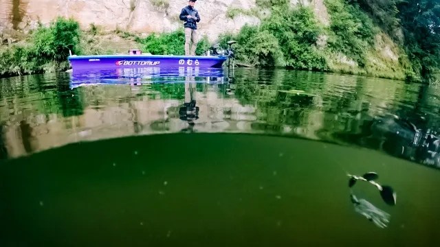バスギャラリー カエル系ワームとスピナベサイトで攻略する夏の亀山ダム