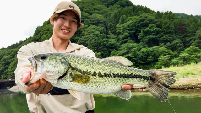 Dz Bass 6 藤田京弥 神奈川県相模湖 釣りビジョン
