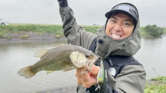 52 マキモノシーズン到来 秋の霞ヶ浦水系を攻略するぜ！