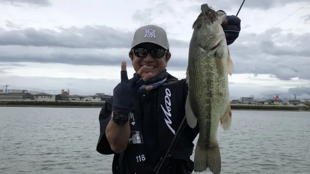 第五十二作戦 徳島県旧吉野川 ポストスポーンはこう釣るんや！