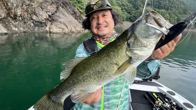 ぶらりバスの旅