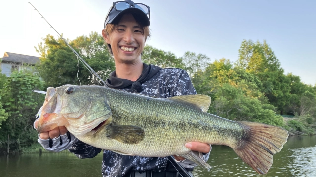 Dz BASS