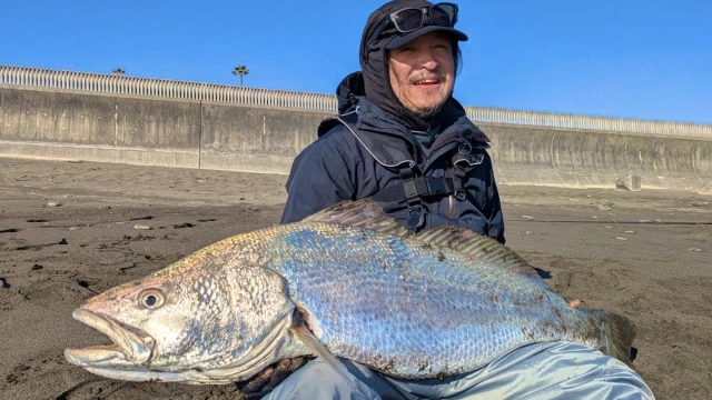 ぶらりバスの旅