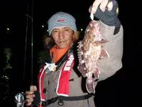 RUN＆GUN SALT KANAGAWA ROCKFISH