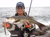 RUN＆GUN SALT CHIBA SEABASS 2