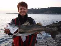 RUN＆GUN SALT KANAGAWA SEABASS