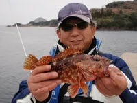 RUN＆GUN SALT SHIMANE ROCKFISH