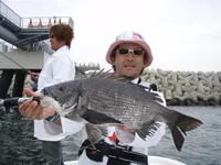 新ソルト研究所 #10 東京ソルト研究所も合流！大阪湾ベイトチェンジするシーバスを科学する