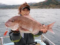 Rock'n Fish NO.15 青森県・竜飛 ジグヘッドで挑むマダイバトル！