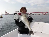 新ソルト研究所 #17 「冬のベイエリアで根魚＆シーバスを調査する in 大阪湾」