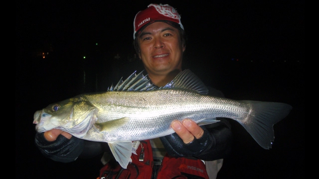 Seabass Journey