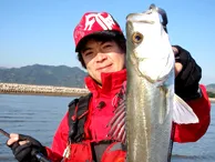 Seabass Journey 2 福岡県・曽根干潟